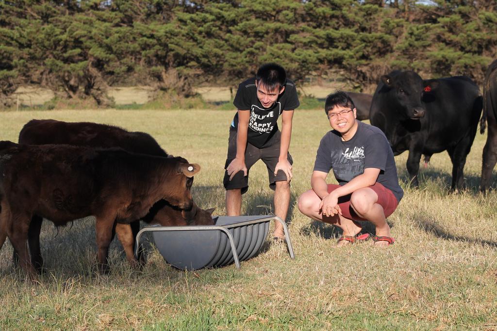 Bimbadeen Phillip Island Farm Retreats Ventnor Esterno foto