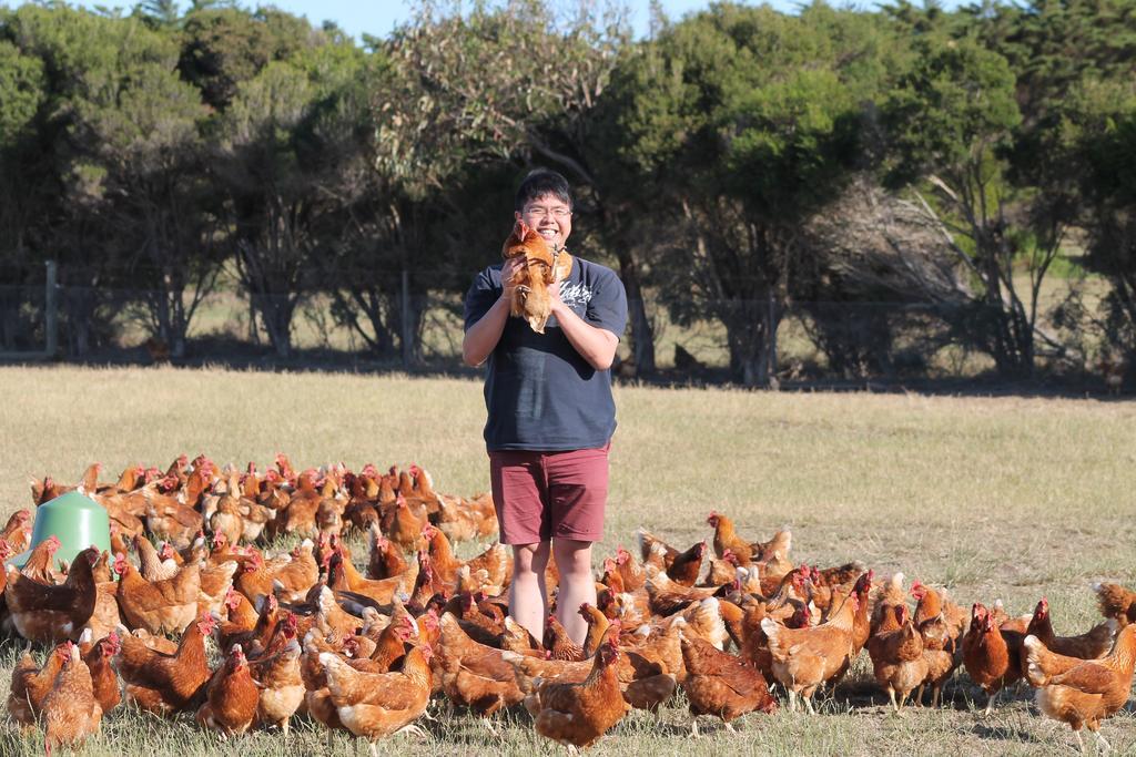 Bimbadeen Phillip Island Farm Retreats Ventnor Esterno foto